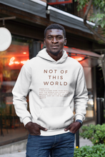 Load image into Gallery viewer, Best Seller Christian Hoodie, Not Of This World Hoodie, Pullover Hoodie, Christian Hoodie, White Hoodie, Trendy Hoodie, Womens Hoodie