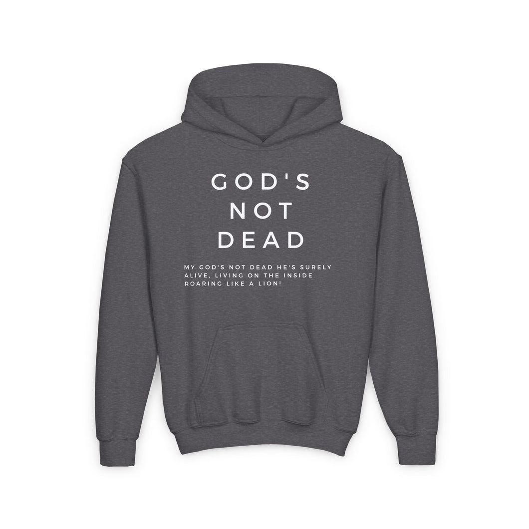 Kids God's Not Dead Hoodie Hoodie, Youth Hoodie, Pullover Hoodie, Youth Christian Hoodie, Black Hoodie, Trendy Hoodie, Christian Youth
